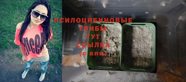 соль ск Новозыбков