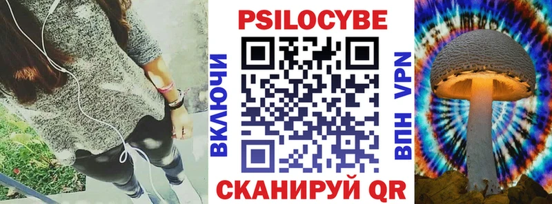 наркотики  Красновишерск  Псилоцибиновые грибы мицелий 